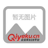 供應(yīng)西餐爐具設(shè)備系列->炸爐、關(guān)東煮、玉米爆花機(jī)、